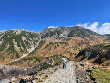 室堂平の紅葉(2025年9月)