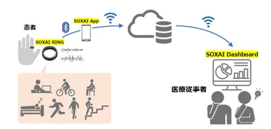 本実証のイメージ
