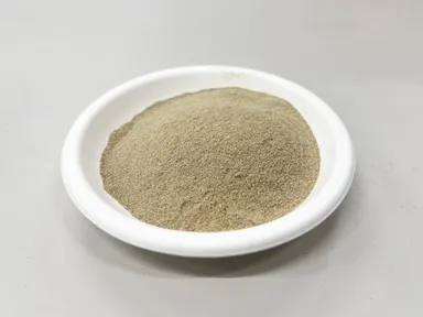 乾燥させたモルト粕パウダー
