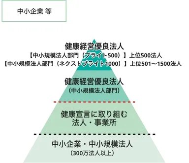 健康経営に係る顕彰制度について(全体像)