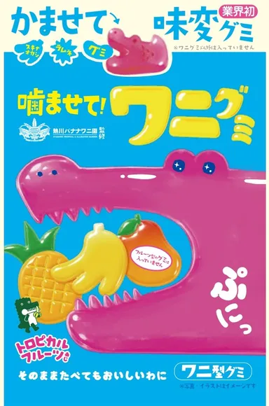 噛ませて！ワニグミ　トロピカルフルーツあじ(4)