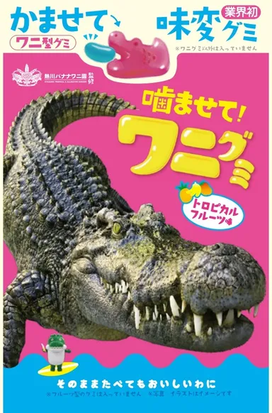 噛ませて！ワニグミ　トロピカルフルーツあじ(5)