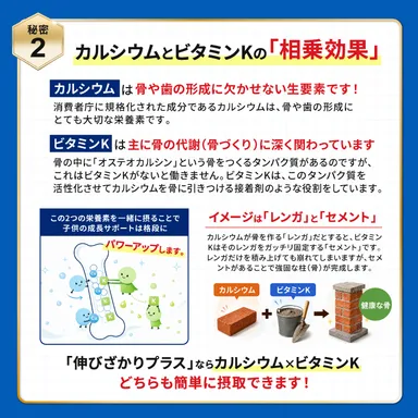 カルシウムとビタミンK