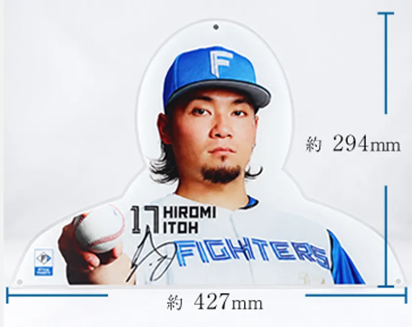 ハンガーサイズ
