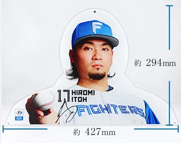 ハンガーサイズ