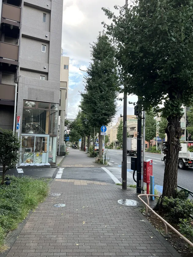 設営前の静かな歩道