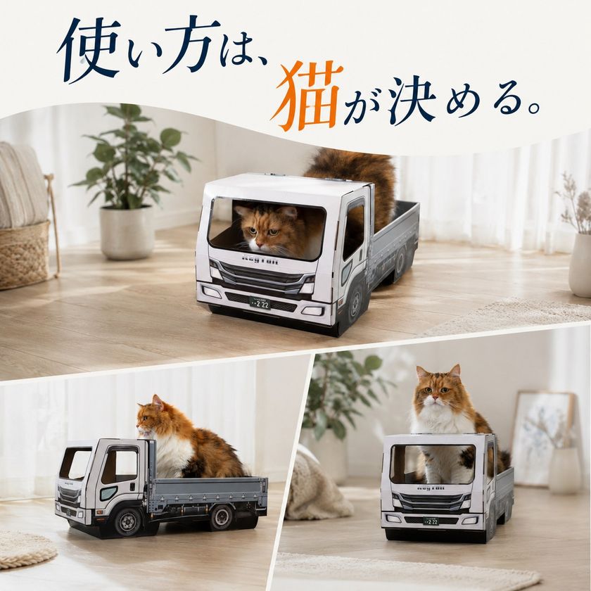 画像5