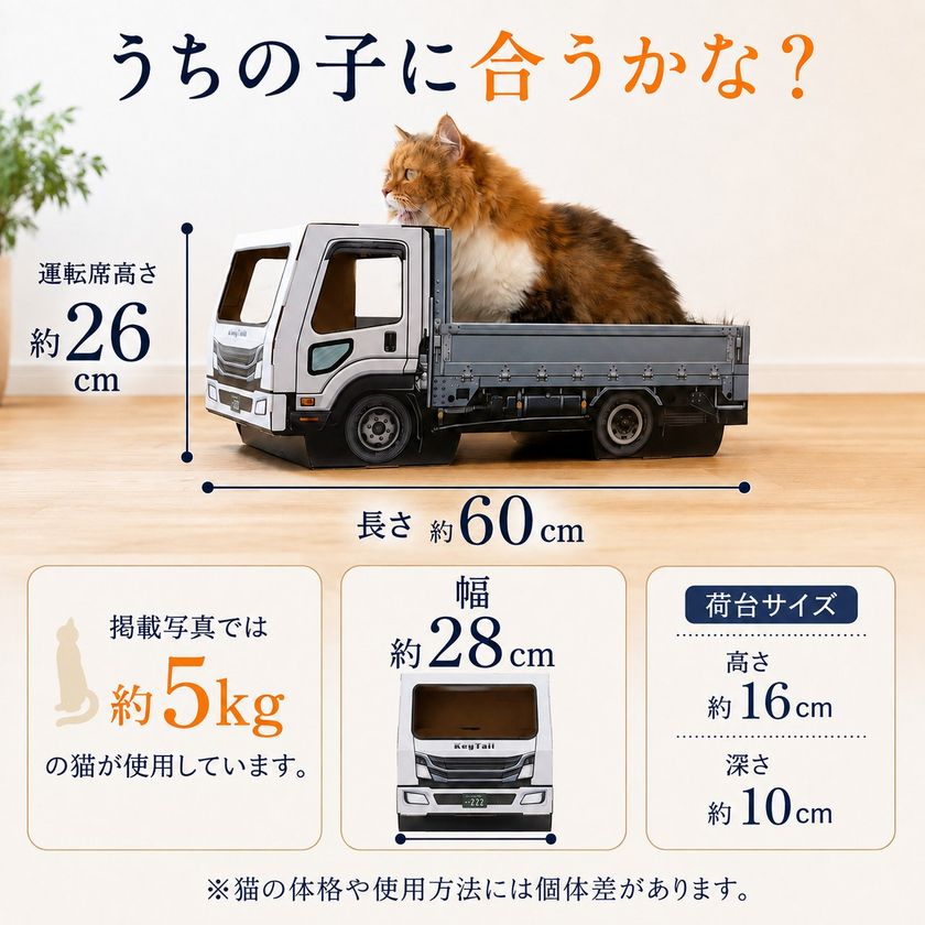 画像8