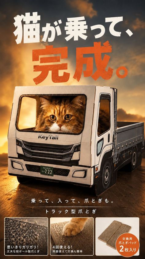 画像9