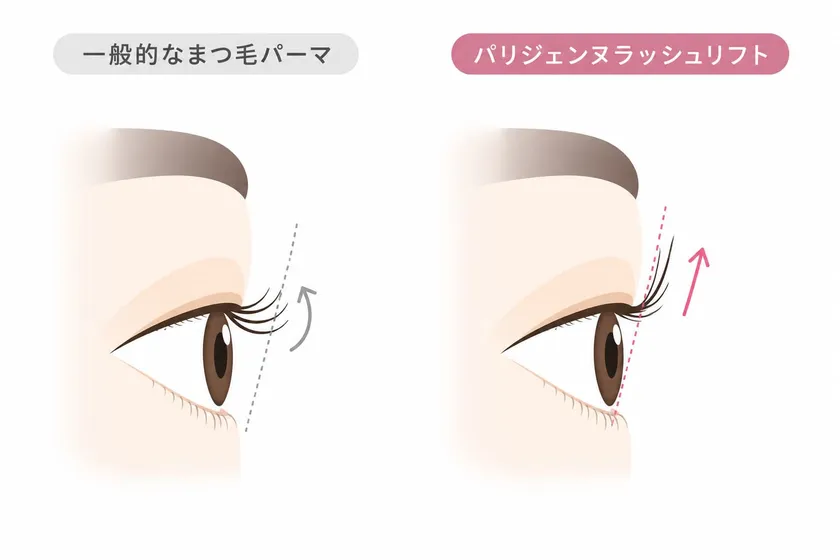 一般的なまつげパーマとパリジェンヌラッシュリフト比較