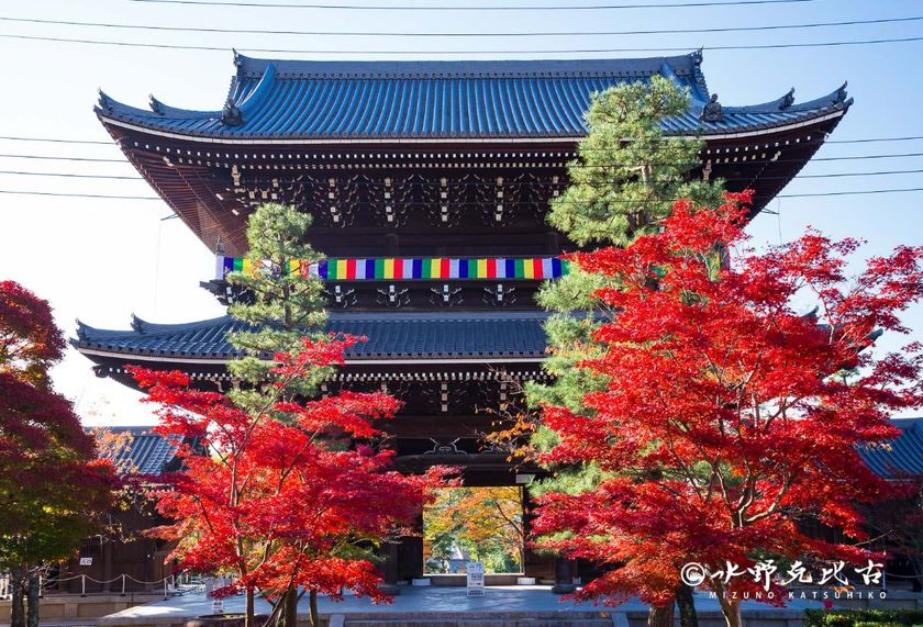 通常非公開　京都・くろ谷 金戒光明寺　秋の特別拝観　
2026年11月13日(金)～12月6日(日)　開催