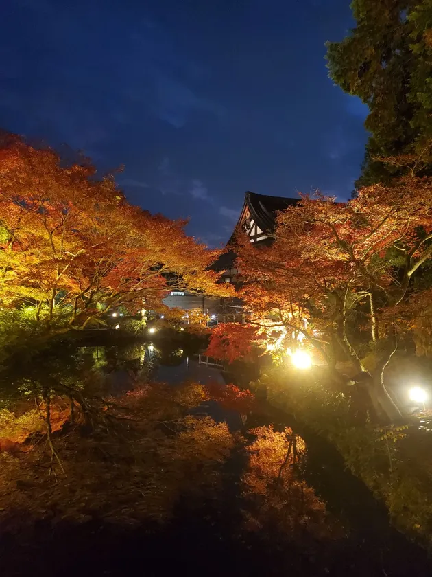紫雲の庭