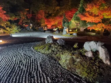 紫雲の庭