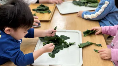 食育では、食材に触れ、五感を使って感じる体験を取り入れています。