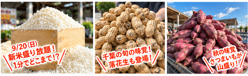新米150kgを大放出!1分間でどこまで盛れる?
過去最高記録は1.2kg!道の駅木更津うまくたの里
「秋の大収穫祭」を9/19(土)~23(水・祝)の5日間開催!