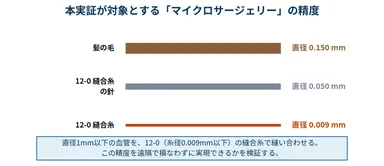 本実証が対象とする手技の精度