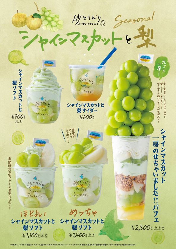 画像12