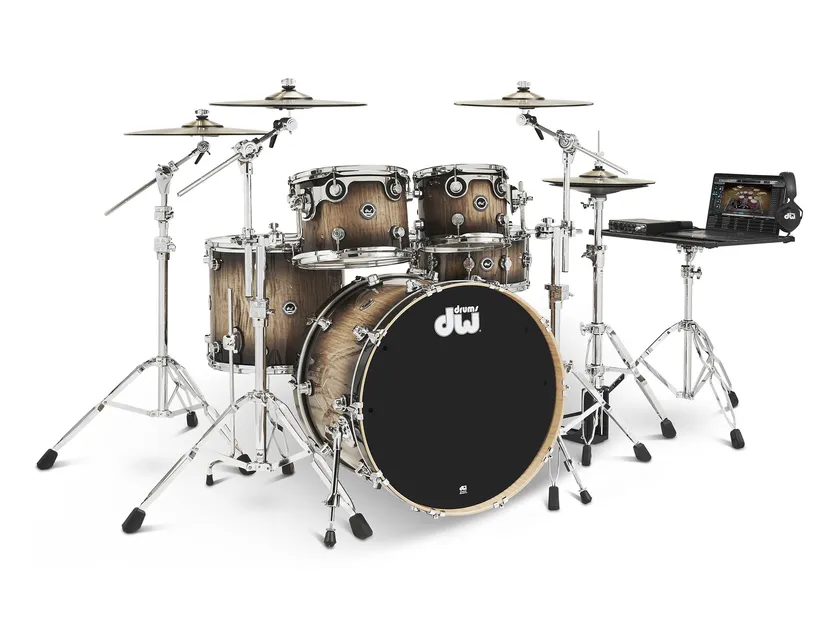 DWe (Exotic: Curly Maple)