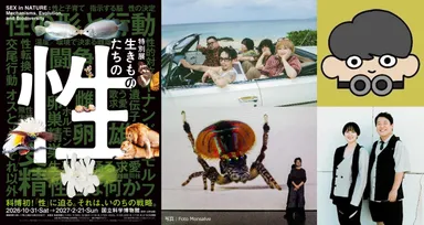 特別展「生きものたちの性」ニュース画像