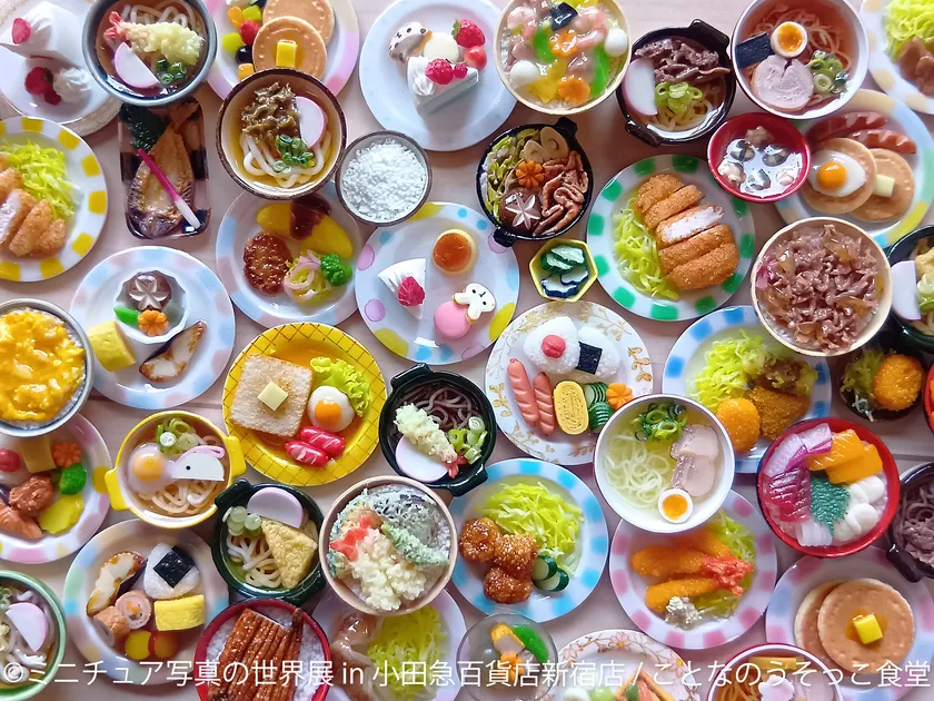 展示作品：ことなのうそっこ食堂