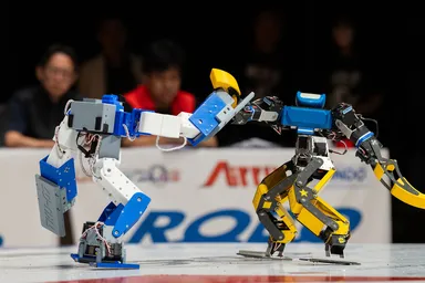 ROBO-ONEの写真
