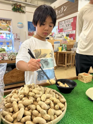 旬！生落花生 お箸チャレンジ