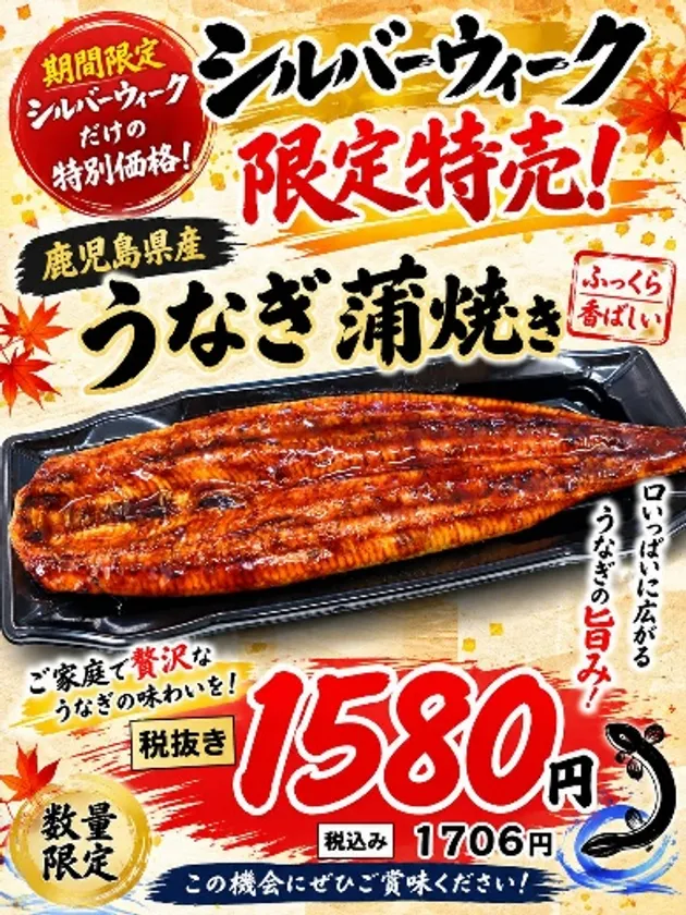 鹿児島県産 うなぎ蒲焼き