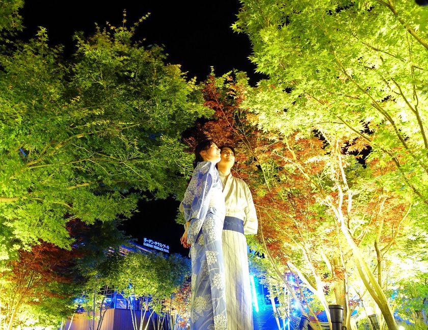 画像15