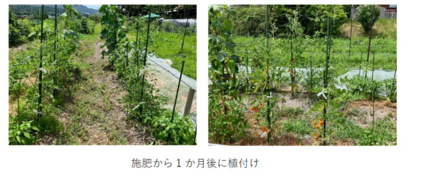 生育状況