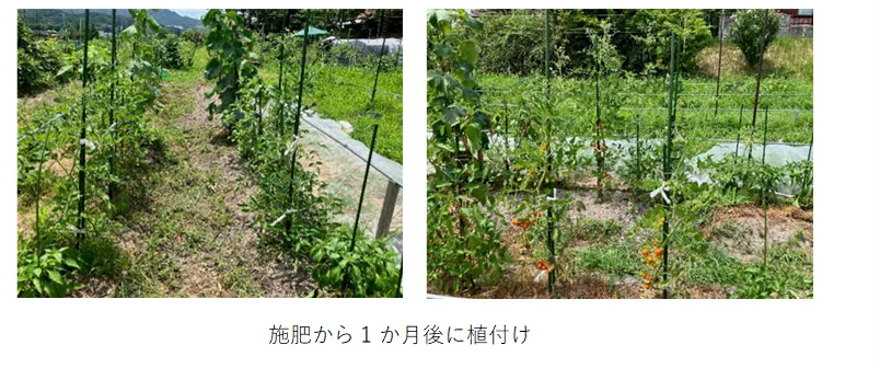 生育状況