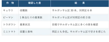 生育結果