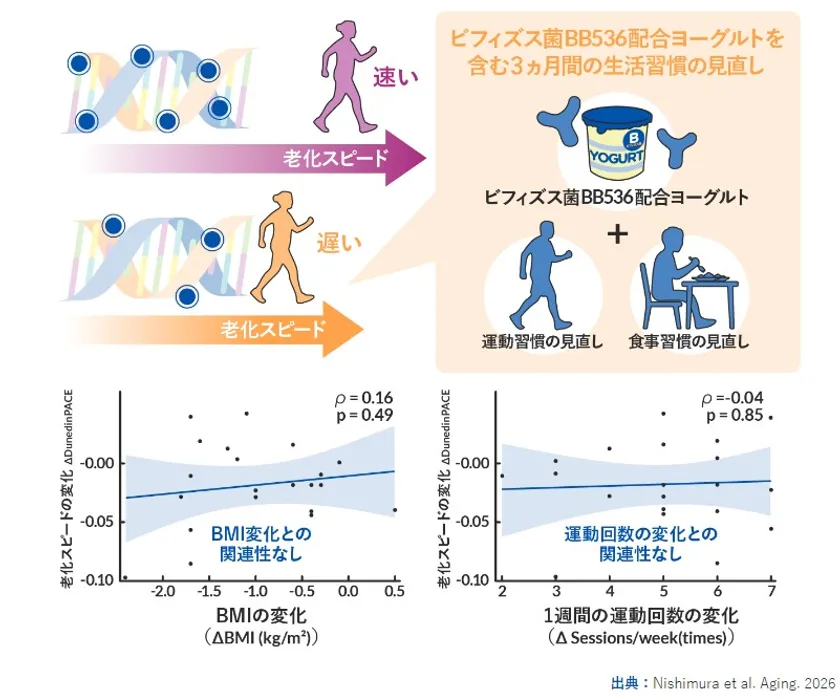 老化スピードの変化(2)