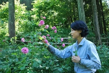 ローズウオーク・フラワーガイド