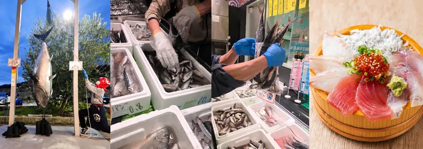 「出世魚」だらけの「出世魚祭り」開催