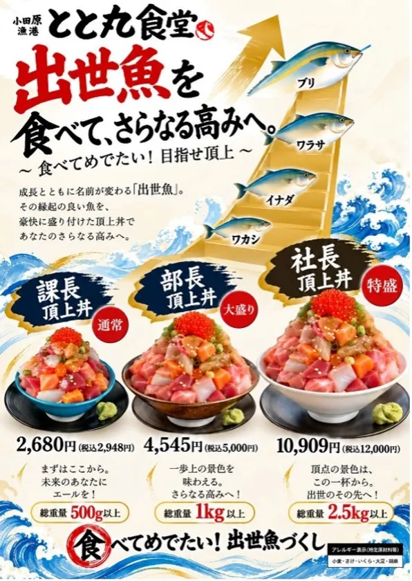 大出世!頂上丼