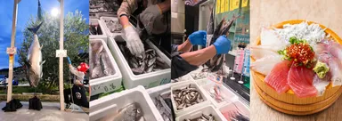 「出世魚」だらけの「出世魚祭り」開催