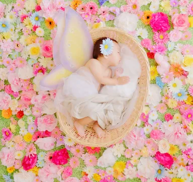 おひるねアート作品