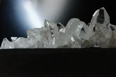 特大アーカンソー