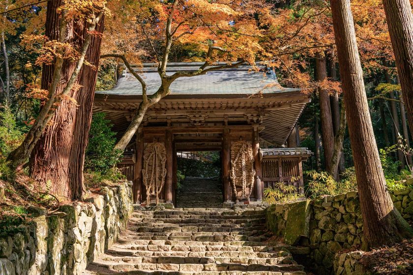 秋季特別展「百済寺と近江の仏教美術―百済寺秘仏公開によせて―」を9月26日(土)より開催