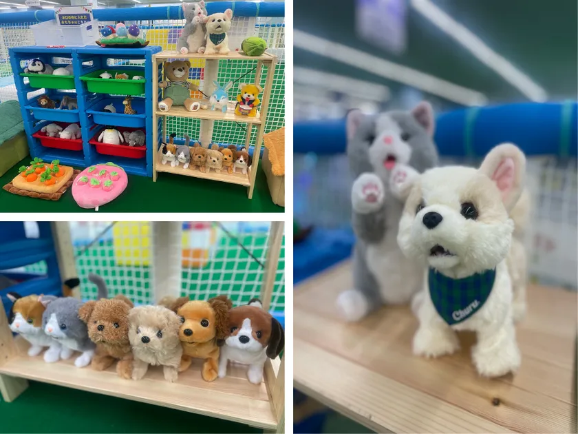 癒し動物園