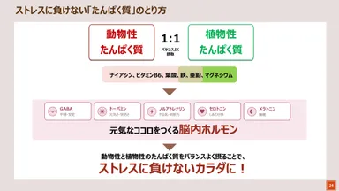 ストレスに負けないたんぱく質のとり方