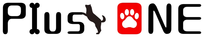 愛犬と一緒に入店・試乗できるHondaのお店をもっと身近に　
ホンダモビリティ南関東が「愛犬防災」をテーマに
2つのイベントに出店