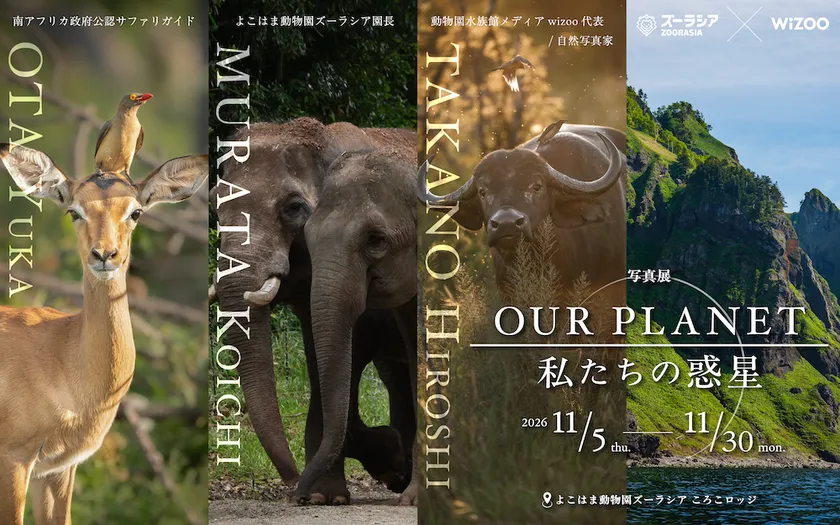 「OUR PLANET│私たちの惑星」