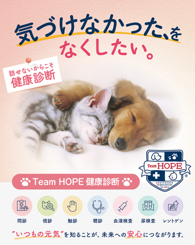 言葉を話せないペットの「気づけなかった、をなくしたい。」
10(じゅう)月13(いさん)日「ペットの健康診断の日」に合わせ、
獣医師団体Team HOPEと協賛企業22社が
ペットの定期健診を呼びかける共同啓発アクションを実施