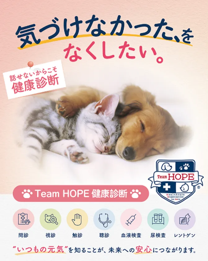 気づけなかった、をなくしたい。