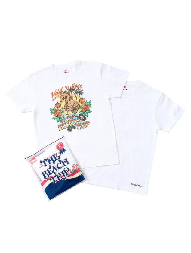 Hanes_HIRAIDAI_1