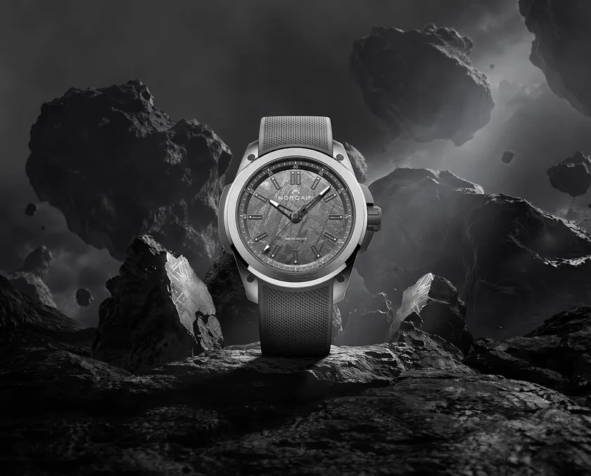 11_Wild ONE Meteorite Titanium 42mm
