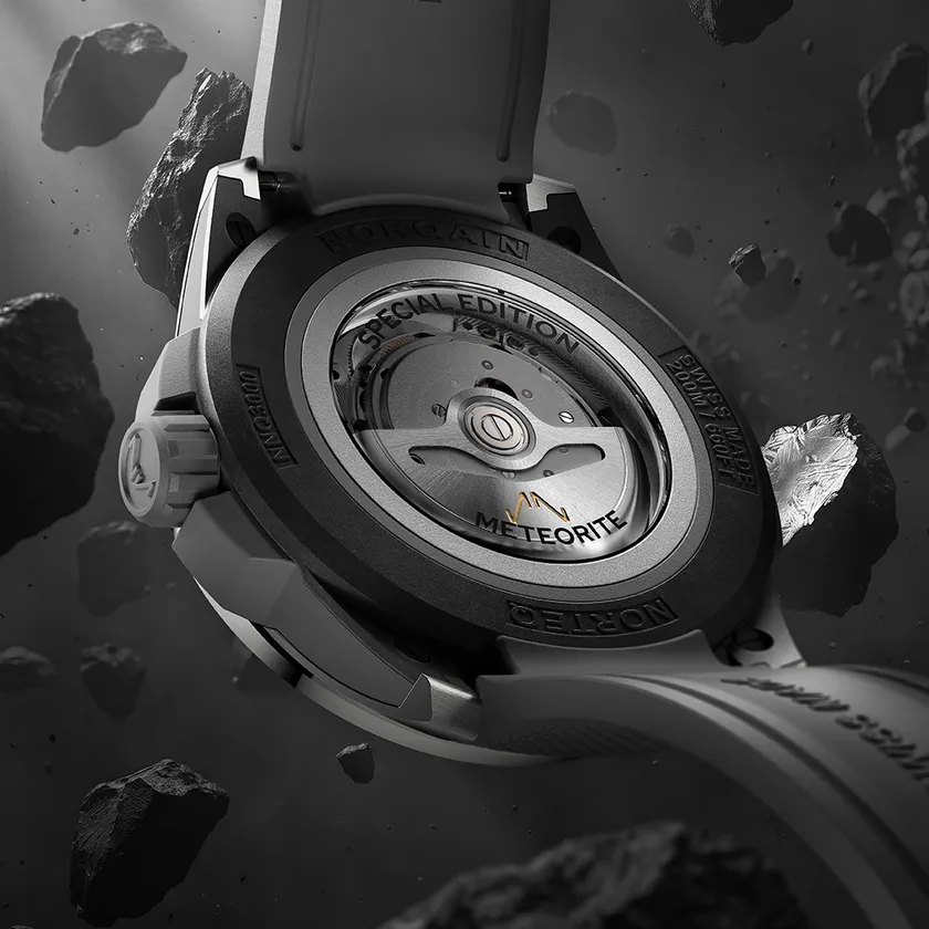 8_Wild ONE Meteorite Titanium 42mm