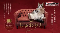 じゅわりとシリーズ新発売