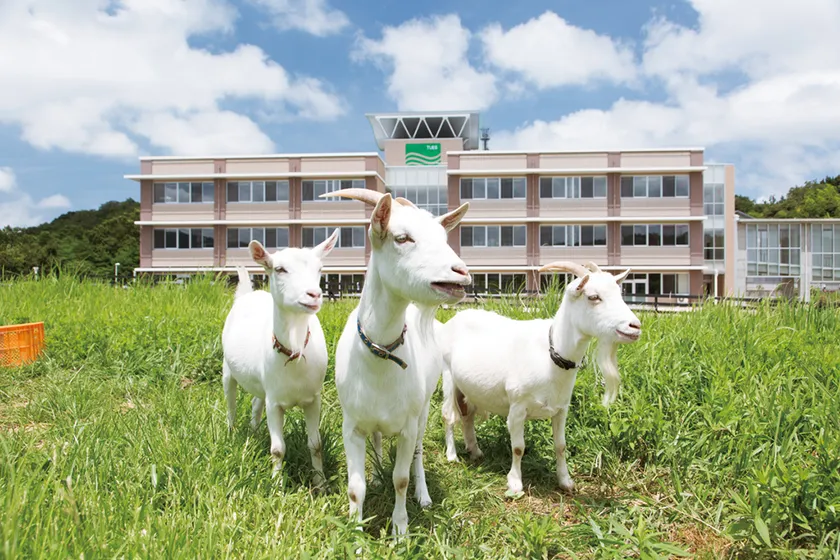 公立鳥取環境大学イメージ